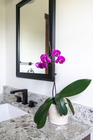 33361 Sandhill Circle, Albany, MN 56307