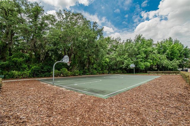7959 HAMPTON LAKE DRIVE, Tampa, FL 33647