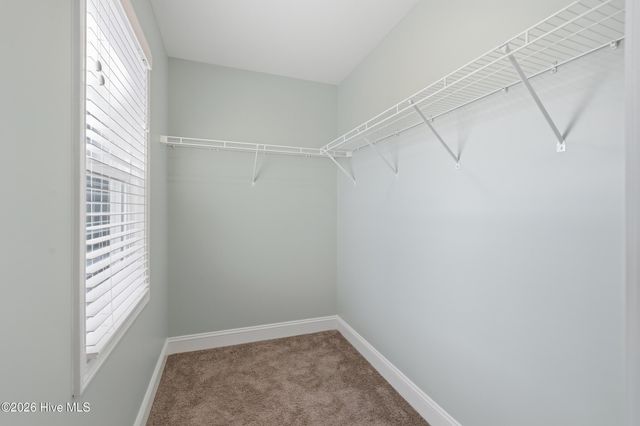 310 S Stingray Lane, Sneads Ferry, NC 28460