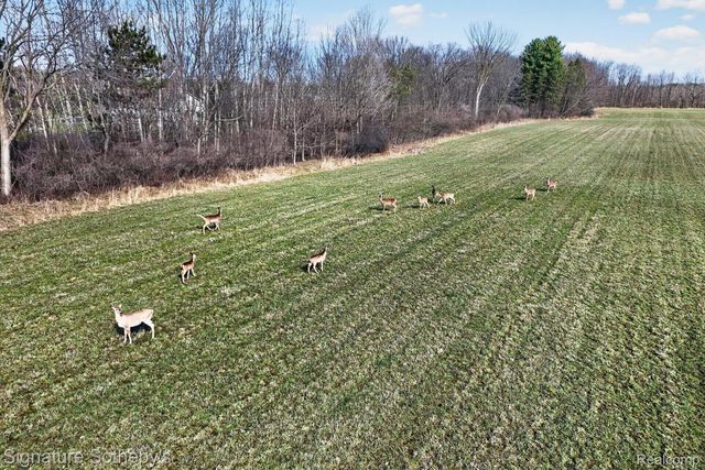 00 Brigham Road, Hadley Township, MI 48438