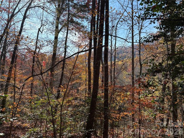 276 Cedar Creek Road, Black Mountain, NC 28711