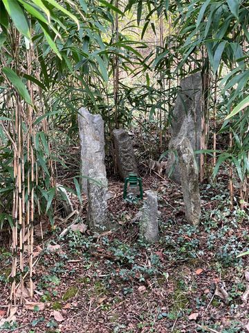 276 Cedar Creek Road, Black Mountain, NC 28711