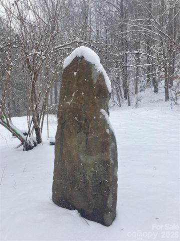 276 Cedar Creek Road, Black Mountain, NC 28711