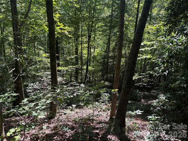 276 Cedar Creek Road, Black Mountain, NC 28711