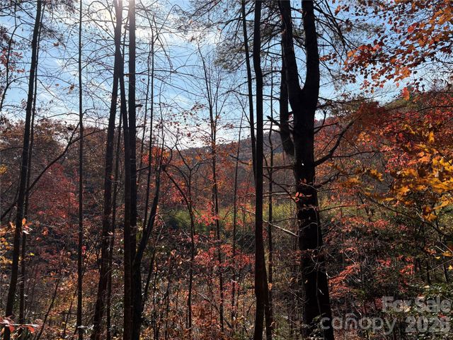 276 Cedar Creek Road, Black Mountain, NC 28711