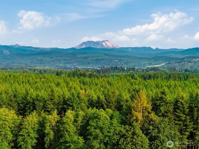 1058 Burnt Ridge Road, Onalaska, WA 98570