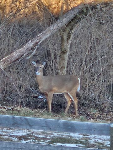 224 Walnut Hill Drive, Richmond, KY 40475