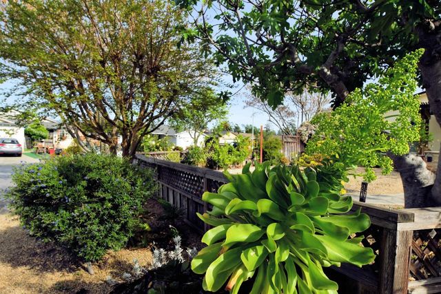 321 Via Loma, Morgan Hill, CA 95037