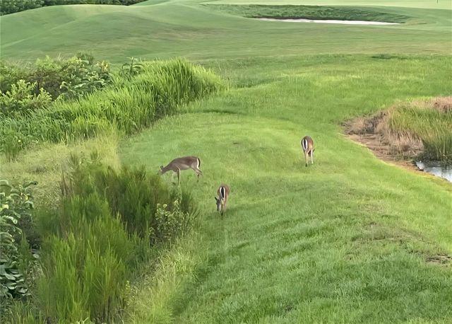 8112 CLEOBURY DRIVE, Orlando, FL 32832