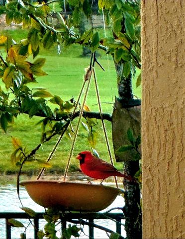 8112 CLEOBURY DRIVE, Orlando, FL 32832