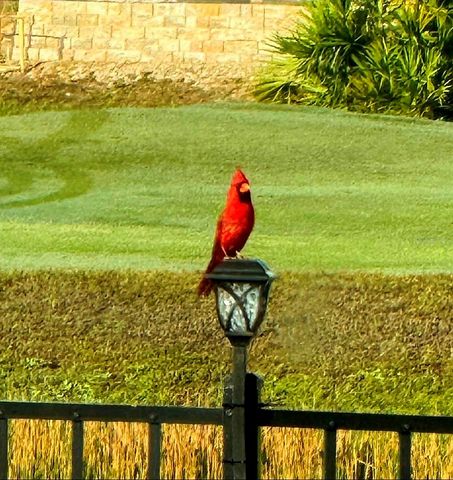 8112 CLEOBURY DRIVE, Orlando, FL 32832