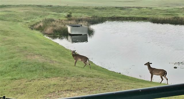 8112 CLEOBURY DRIVE, Orlando, FL 32832