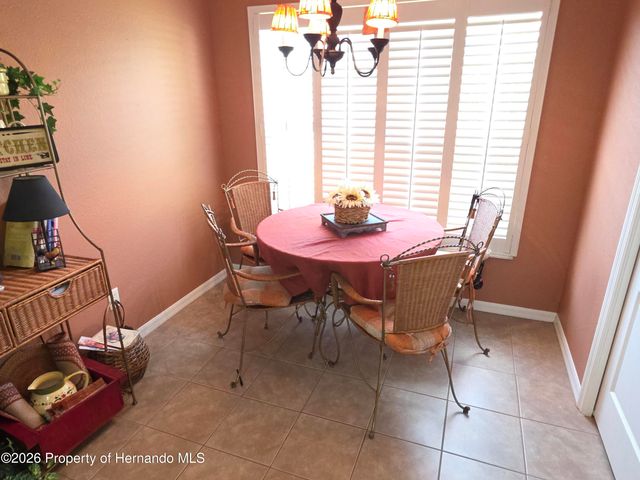 11442 Turtle Dove Place, New Port Richey, FL 34654