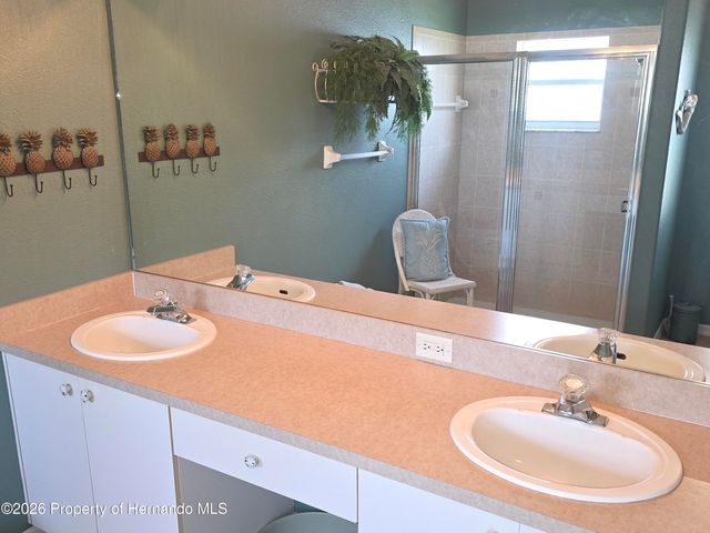 11442 Turtle Dove Place, New Port Richey, FL 34654