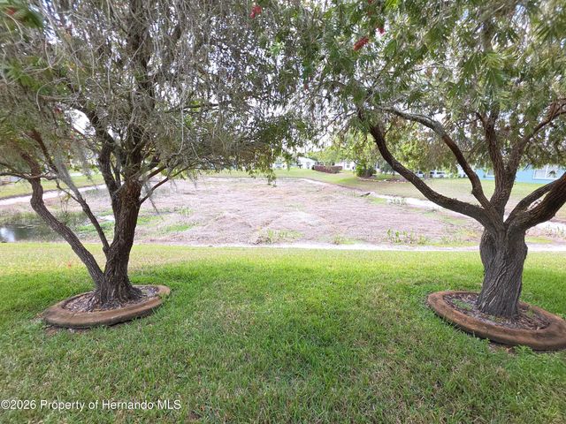 11442 Turtle Dove Place, New Port Richey, FL 34654