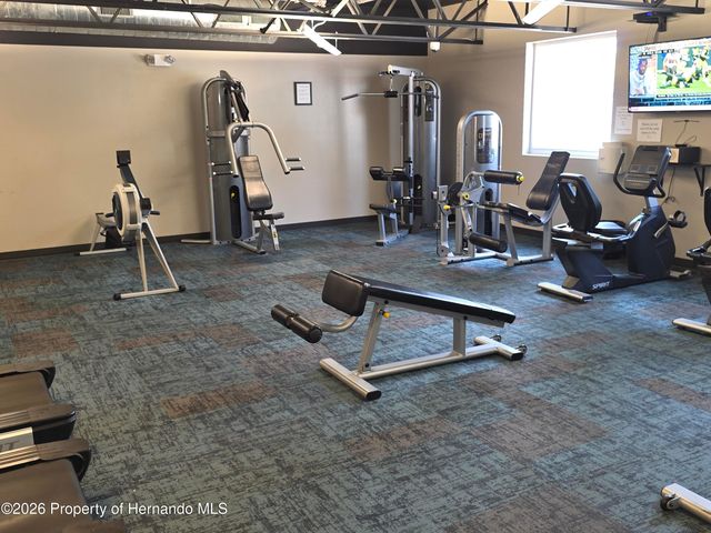 11442 Turtle Dove Place, New Port Richey, FL 34654