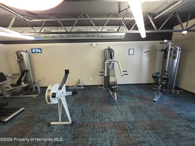 11442 Turtle Dove Place, New Port Richey, FL 34654