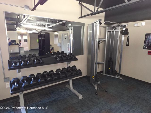 11442 Turtle Dove Place, New Port Richey, FL 34654