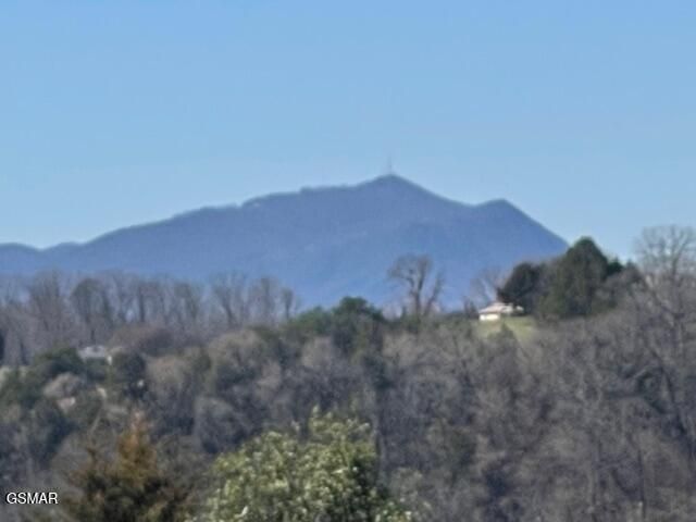 2205 Murphys Chapel Drive, Sevierville, TN 37876