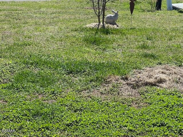 2205 Murphys Chapel Drive, Sevierville, TN 37876