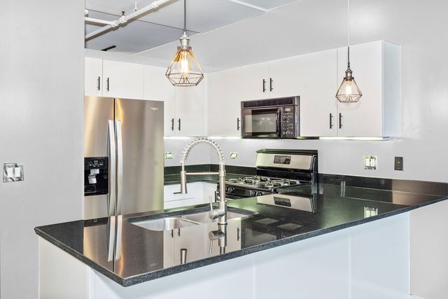 1118 W Fulton Street 201, Chicago, IL 60607