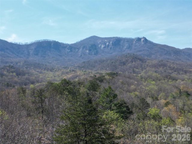 145 White Pine Drive, Lake Lure, NC 28746