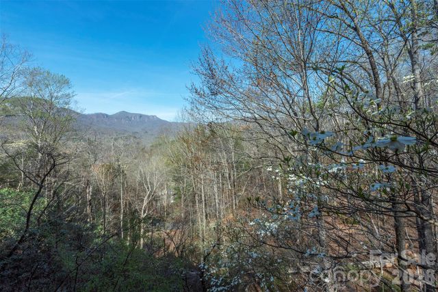 145 White Pine Drive, Lake Lure, NC 28746
