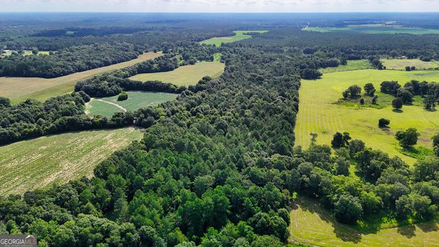 0 S County Line Road, Albany, GA 31705
