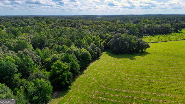 0 S County Line Road, Albany, GA 31705