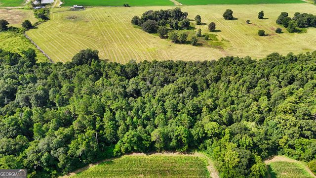 0 S County Line Road, Albany, GA 31705