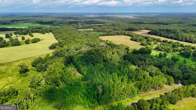 0 S County Line Road, Albany, GA 31705