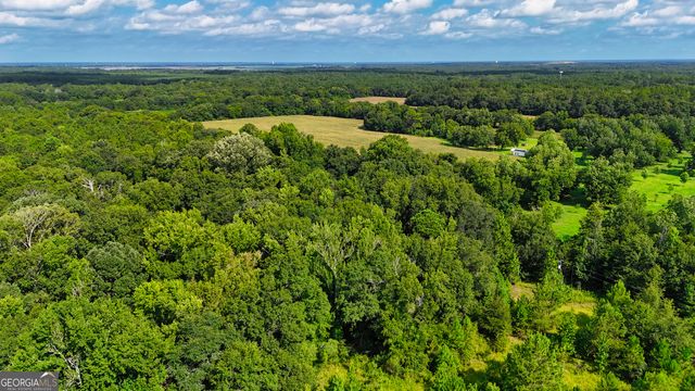 0 S County Line Road, Albany, GA 31705