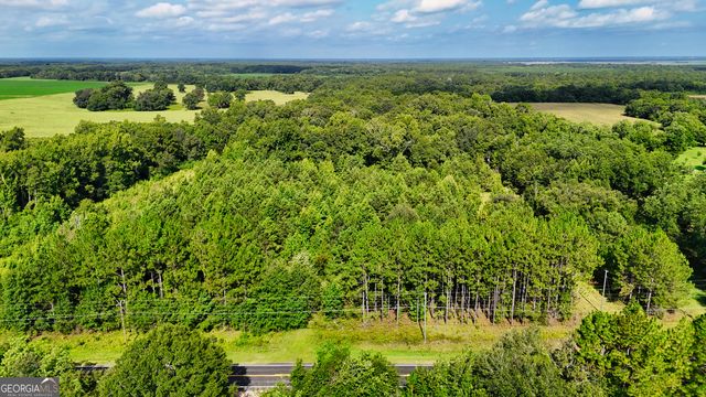 0 S County Line Road, Albany, GA 31705