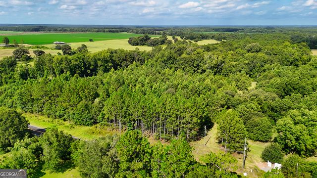0 S County Line Road, Albany, GA 31705