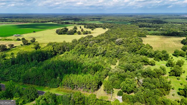 0 S County Line Road, Albany, GA 31705