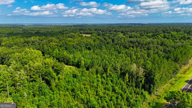 0 S County Line Road, Albany, GA 31705