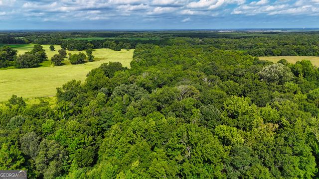0 S County Line Road, Albany, GA 31705