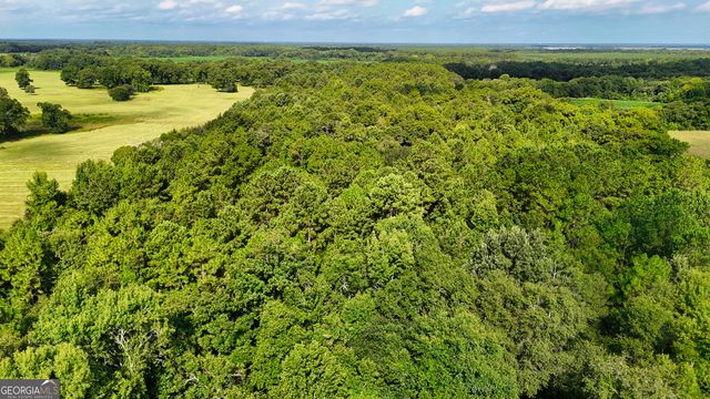 0 S County Line Road, Albany, GA 31705