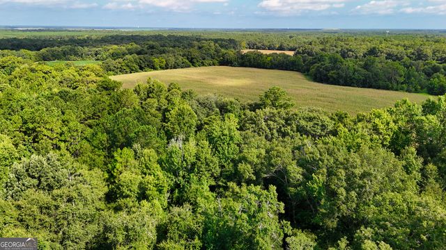 0 S County Line Road, Albany, GA 31705