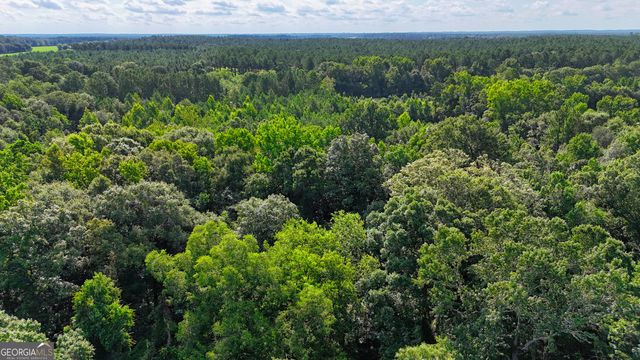 0 S County Line Road, Albany, GA 31705