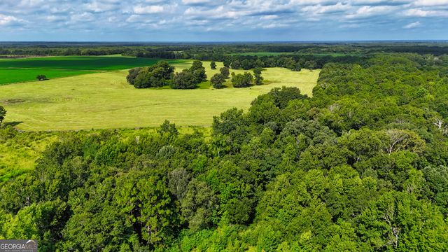 0 S County Line Road, Albany, GA 31705