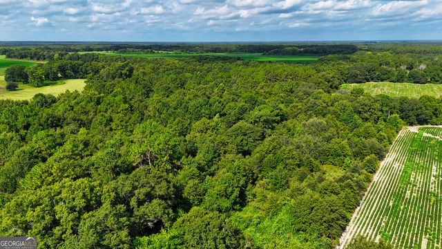 0 S County Line Road, Albany, GA 31705