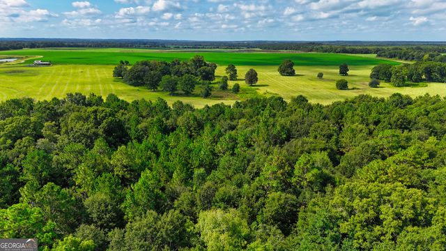 0 S County Line Road, Albany, GA 31705
