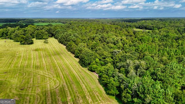 0 S County Line Road, Albany, GA 31705