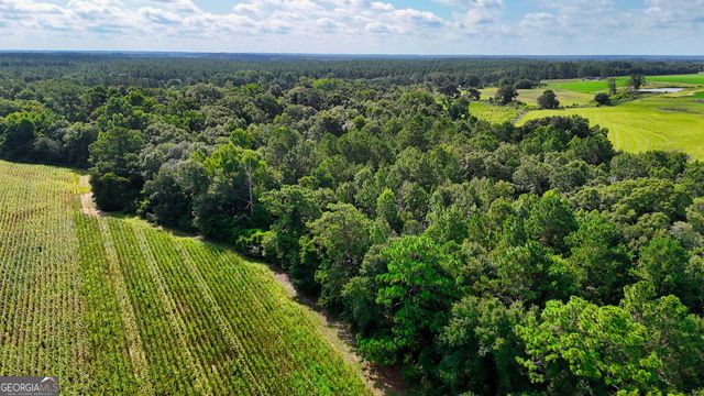 0 S County Line Road, Albany, GA 31705