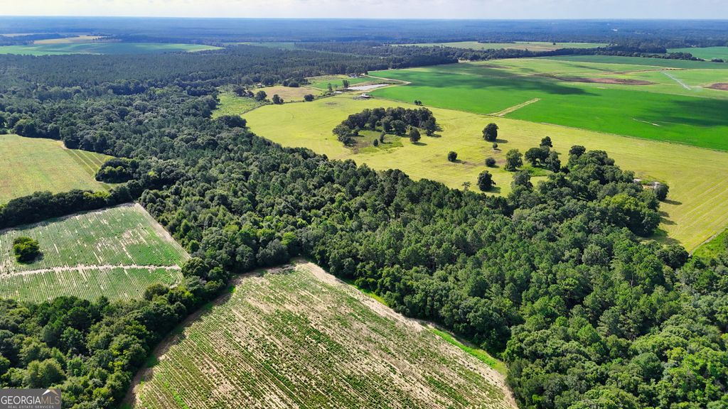 0 S County Line Road, Albany, GA 31705