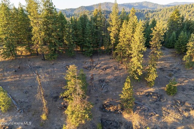 Wolf Lodge 32+ Acres, Coeur D'alene, ID 83814
