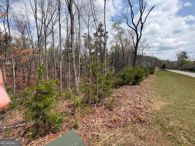 21 Yonah Lake Drive, Sautee Nacoochee, GA 30571