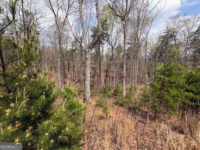 21 Yonah Lake Drive, Sautee Nacoochee, GA 30571