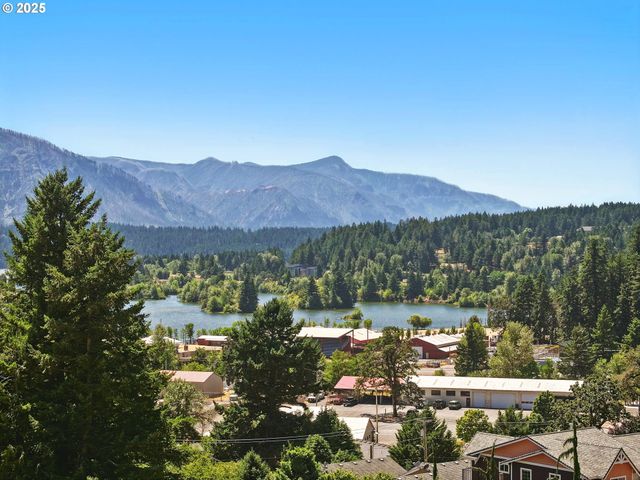 438 Nw ROSELAWN St, Stevenson, WA 98648